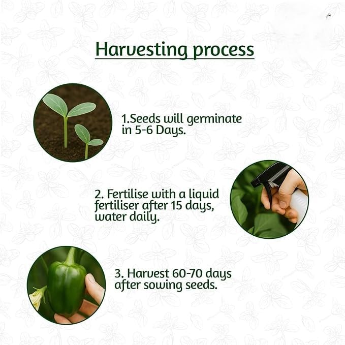 35 Variety Vegetable Seed Kit