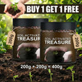 Premium Soil Activator 400g (Buy 1 Get 1)
