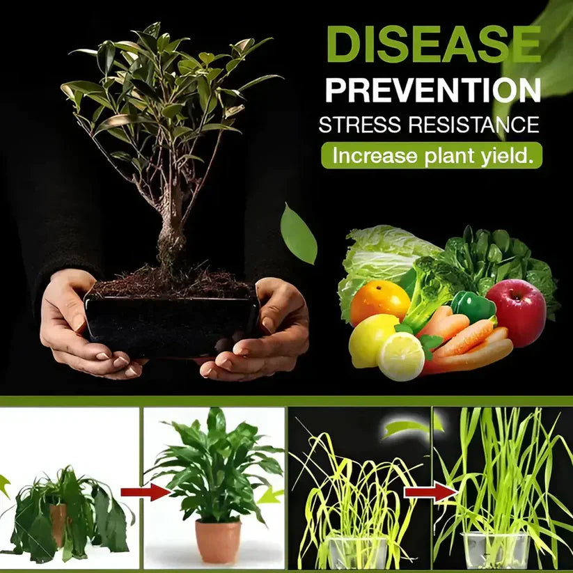 Premium Soil Activator 400g (Buy 1 Get 1)